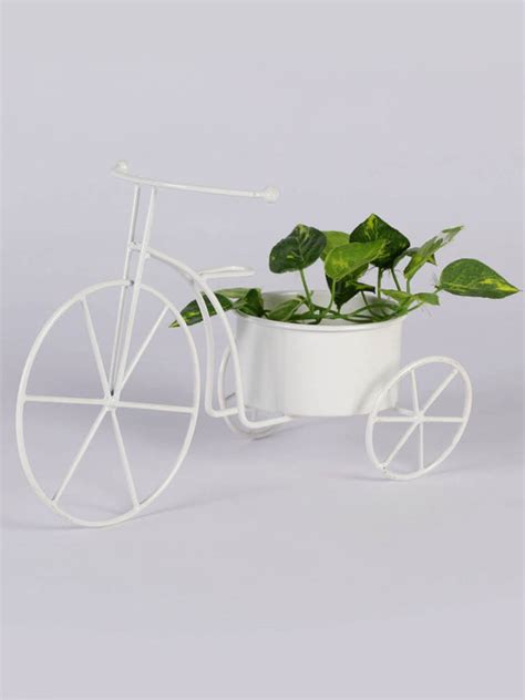 Big Cycle Planter White – Exotic Flora