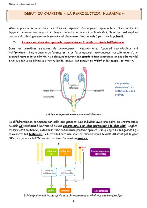 La Reproduction Humaine 的图像结果