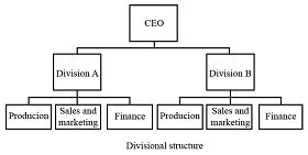 Multidivisional Structure 的图像结果