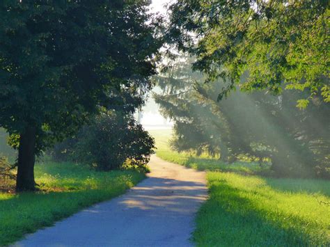 Image result for Spring Weather Path Picture