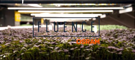 Image result for Fluence LED