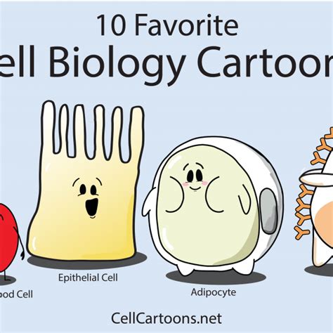 Image result for Cell Adaptation Cartoon