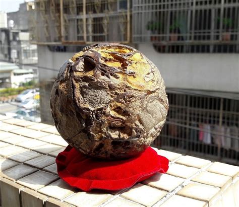 鐵丸球 | Yahoo奇摩拍賣