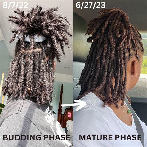 Semi-freeformed locs. A couple months over 2 years. sun naturally ...