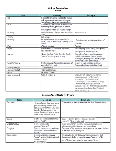 Medical Terminology student sheets - Medical Terminology Basics Term ...