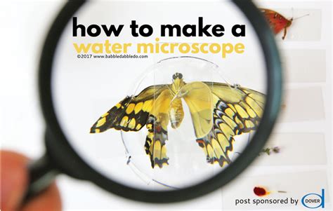 Image result for How to Make a Simple Microscope