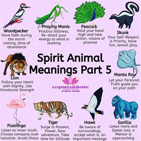 PSYCHIC ANIMALS MEANING | Animal meanings, Spirit animal meaning ...