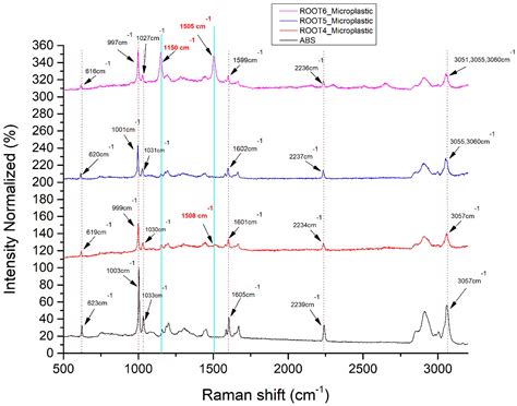 Do Microplastics Enter Our Food Chain Via Root Vegetables? A Raman ...