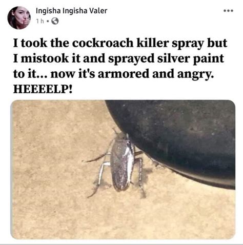 Cockroach Armor 的图像结果
