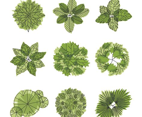 TreePlan 的图像结果