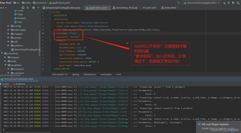 SQLException Example Java 的图像结果