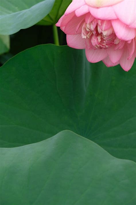 SONOHEIM (Goseong-gun, Gangwon-do, South Korea) - Pension Reviews ...