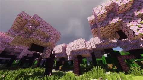 Minecraft Java Shaders 2021 的图像结果