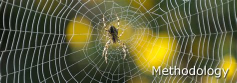 Akshaya Consulting - Profile-Methodology