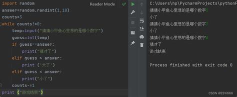Python RNG Code 的图像结果