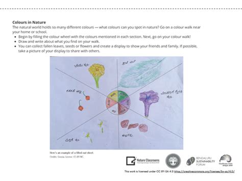 Nature as a classroom: A space where teachers and students observe ...