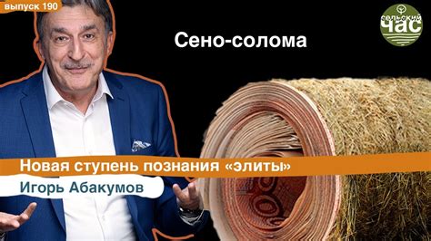Сено-солома. Новая ступень познания "элиты". Сельский час # 190 (Игорь ...