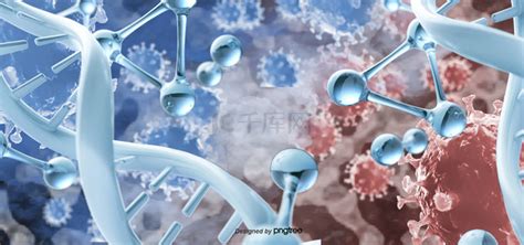 Dna图片 的图像结果