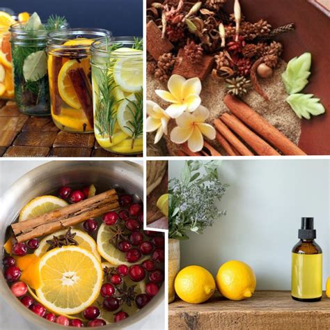 Bloom Green – Natural, Plant-Based Air Fresheners for a Healthier Home