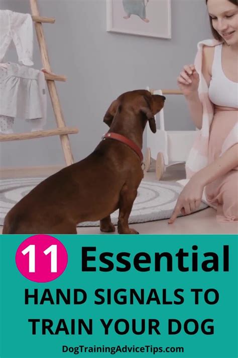 Image result for Common Hand Signals for Dogs Sheet