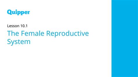 Image result for Reproductive System Grade 10