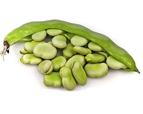 TrustBasket Premium Vegetable Fava Beans - Bakla Seeds (Op) | Sow and ...