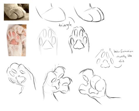 Draw Cat Paws Tutorial 的图像结果