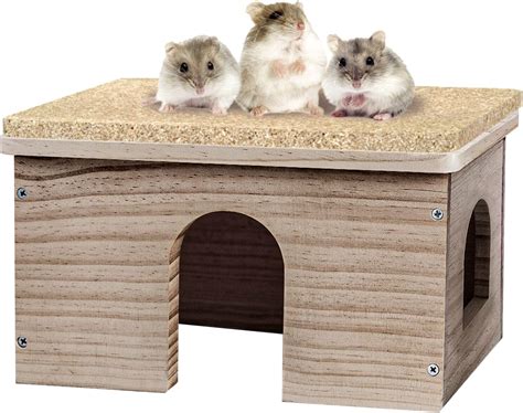 GIRVEM Guinea Pigs Wood House with Window, Small Animals India | Ubuy
