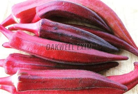 Oakwell Exim|Red Onion Powder Manufacturer In Gujarat