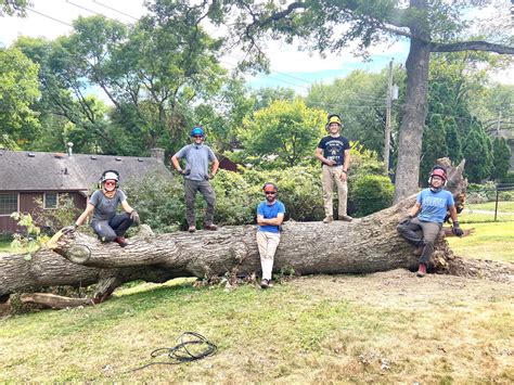 Image result for Structured Pruning