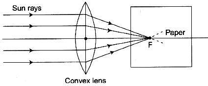 13. Moukthika placed a convex lens in Sunshine and was able to burn a ...