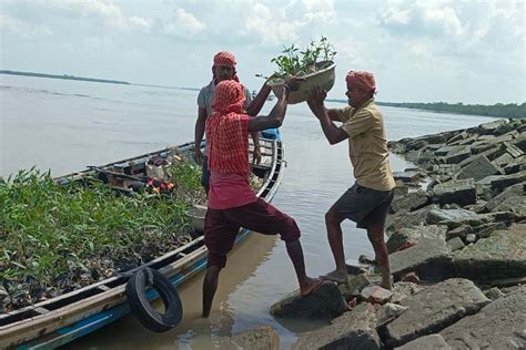 Welcome to SGEA - Sundarban Green Environment Association - Towards A ...
