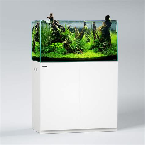 LANDEN Wooden Stand and Cabinet for Aquariums, Fish India | Ubuy