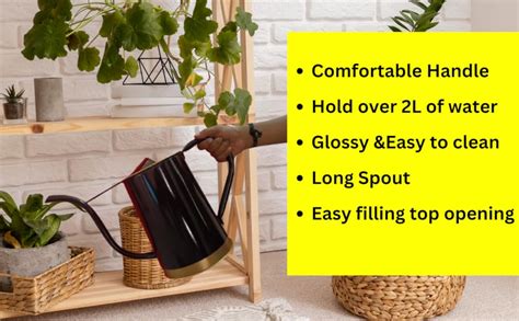 Desired Decor Metal Watering Can for Plants, Garden Water Can for Kids ...
