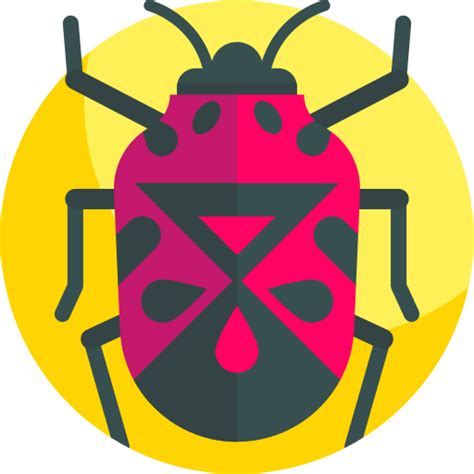 Try Hack Me Vulnerabilities 101 | Classroom