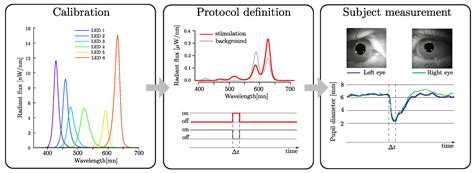 Development of an Innovative Pupillometer Able to Selectively Stimulate ...