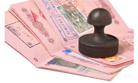 签证好多钱（签证的费用包含哪些） - 马来西亚签证