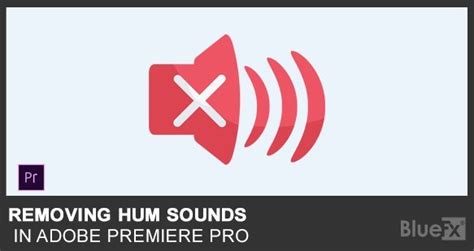 Image result for Remove Hum From Audio
