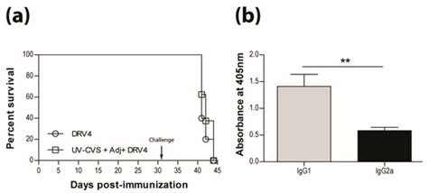 Protection Against CNS-Targeted Rabies Virus Infection is Dependent ...