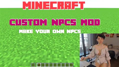 Image result for Minecraft Mod Custom NPCs Dialogs