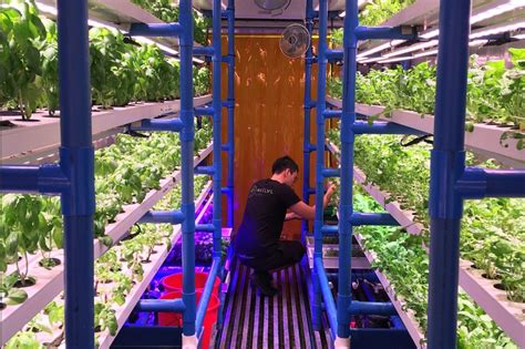 Image result for Best Level Farm Designs