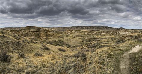 Loop Trail 的图像结果