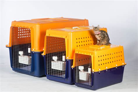 Pet Crate Size Calculator & Guide for Airline Travel