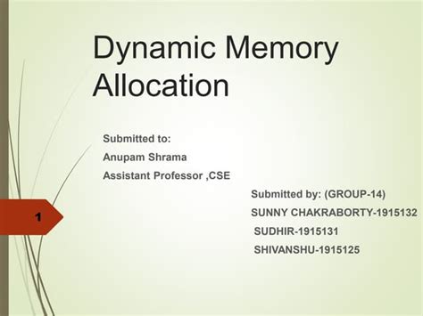 Image result for Dynamic Allocation
