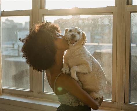 Traunero Funeral Home and Crematory