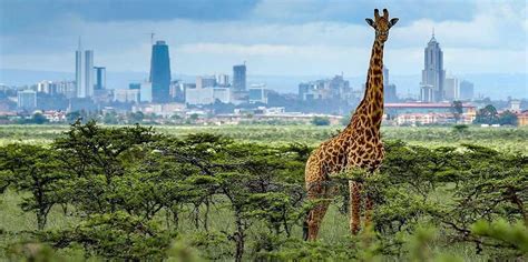 20 African startups to watch in 2026