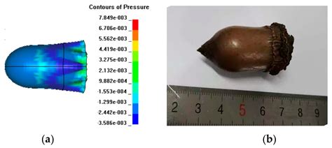 Numerical Investigation on the Formation and Penetration Behavior of ...