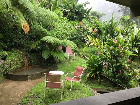 PAPILLOTE WILDERNESS RETREAT (Dominica/Roseau) - Inn Reviews & Photos ...