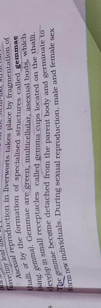 Asexual reproduction in liverworts a specialised structures are called ...