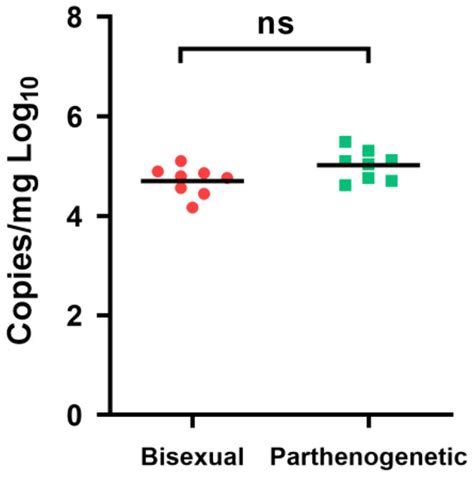 Comparative Analysis of Bisexual and Parthenogenetic Populations in ...